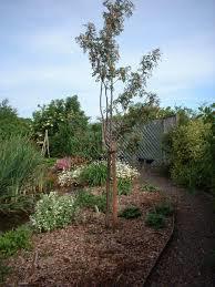 Longframlington Gardens